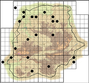 Colotis annae Waterberg distribution